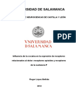 INCyL - LopezBellido - Roger - Tesis PDF