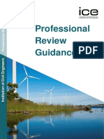 Professional Review Guidance Re PDF