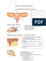 Estudo Dirigido Aparelho Reprodutor Feminino