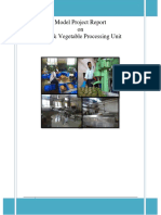 Model Project Report On Fruit & Vegetable Processing Unit