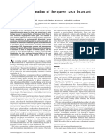 Genetic Determination of The Queen Caste in An Ant Hybrid Zone