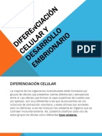 Diferenciación Celular y Desarrollo Embrionario