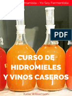 Ebook Curso Vinos