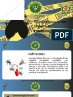 Entomologia Forense PDF