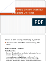 Comparative Vertebrate Anatomy - Integumentary System