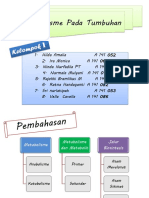 Metabolisme Pada Tumbuhan