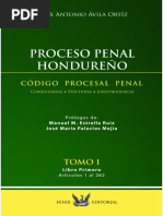 Proceso Penal Hondureno Extracto