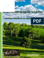 Plan de Empresa Pavos PDF