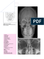 Anatomia Humana 1 Parte - Espanhol