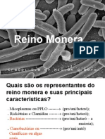 Biologia PPT - Maxi - Reino Monera