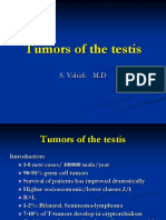 Tumors of The Testis: S. Vahidi M.D