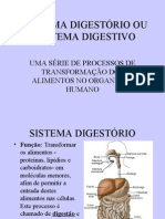 Biologia PPT - Sistema Digestivo I