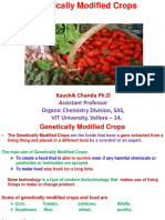 Assistant Professor Organic Chemistry Division, SAS, VIT University, Vellore - 14