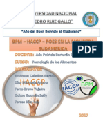 Sudamerica Bpm-Haccp-Poes