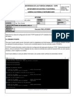 Informe PING