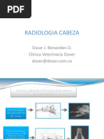 4radiologiacabezaycuello 110426193206 Phpapp02 PDF