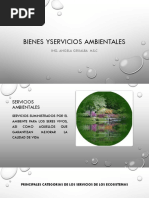 Bienes y Servicios Ambientales PDF