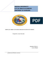 Harmonized Curriculium For Bscooo Nurse PDF