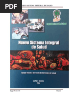 Nuevo Sis Int de Salud Cns