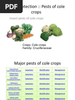 Crop Protection:: Pests of Cole Crops