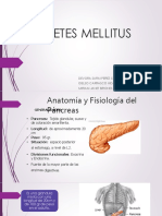 DIABETES MELLITUS EXPONER Martes