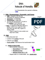 Dna Transparency Teacher