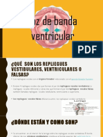 Voz de Banda Ventricular, Vestibular, Superior, Falsa