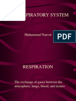 Anatomy of Respiratory System