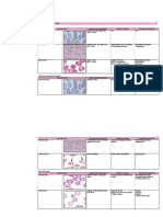 RBC&WBC Abnormalities