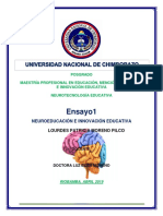 Ensayo Neurotecnologia