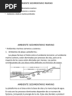 Ambiente Sedimentario Marino Nuevo