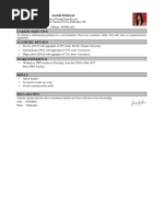 CV - Professional Resume - 01 PDF