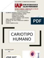 Cariotipo Humano