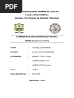 Parámetros e Indices Reproductivos Del Añuje