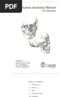 Human Anatomy Manual The Skeleton PDF