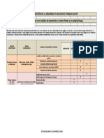 Matriz de Jerarquizacion Actividad Del SG-SST Sena