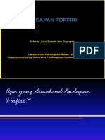 Endapan Porfiri