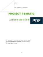 Proiect-Tematic-Grupa Mijlocie