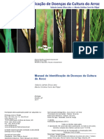 Manual de Doenças Do Arroz PDF