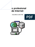 Internet PDF