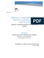 Modulo 5 Fundamentos Del Delito Y Los Delitos en Particular: Fuentes Del Derecho Penal