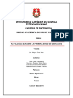 Proyecto Integrador Sobre Patologias Durante La Mitad Del Embarazo