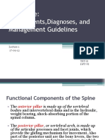 The Spine: Impairments, Diagnoses, and Management Guidelines