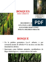 Exposicion Bosques