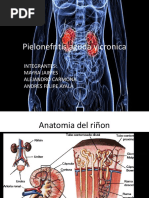 Pielonefritis Aguda y Cronica