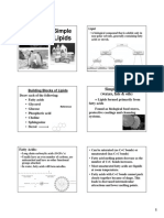 Lipid Sedrhana