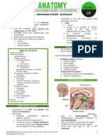 Endocrine System