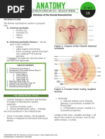 Female Reproductive System