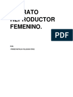 Aparato Reproductor Femenino