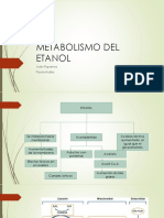 Metabolismo Del Etanol